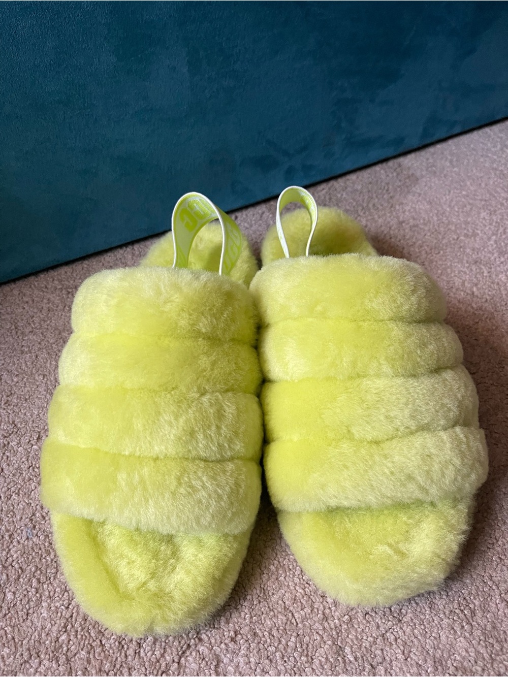 Women’s Plush UGG Slide Slippers